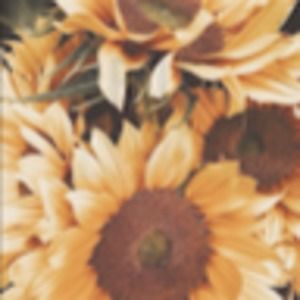 Meet your Posher, Ariana